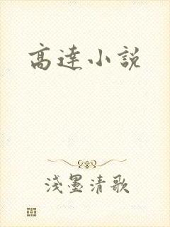 高达小说封面