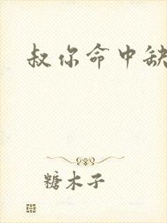 叔你命中缺我