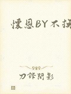 怀恩BY不换