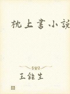 枕上书小说