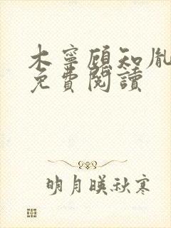木宁顾知胤小说免费阅读