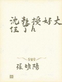 沈教授好大含不住了h