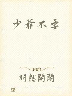 少爷不要