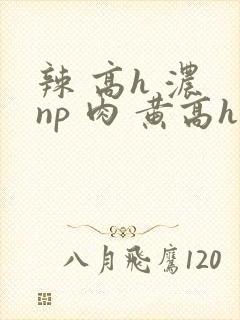 辣 高h 浓 np 肉 黄高h