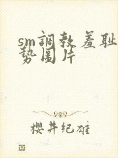 sm调教羞耻姿势图片