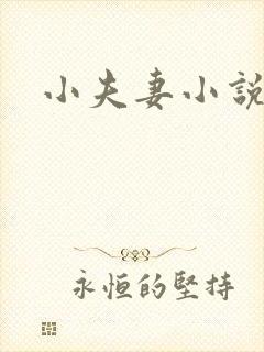 小夫妻小说