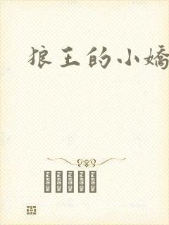 狼王的小娇妻封面