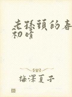 老孙头的春天林初晴封面