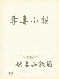 夺妻小说封面