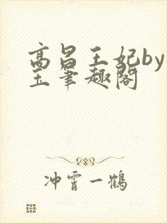 高昌王妃by黛玉笔趣阁封面