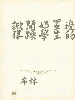 掀开奶罩边躁狠狠躁学生的小文字
