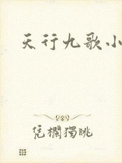 天行九歌小说