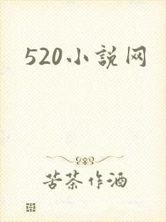 520小说网封面