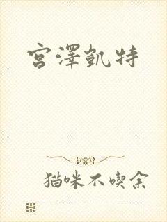 宫泽凯特封面