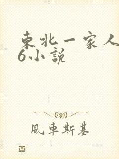 东北一家人1一6小说
