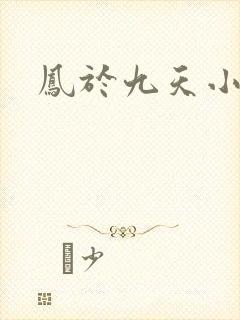 凤于九天小说