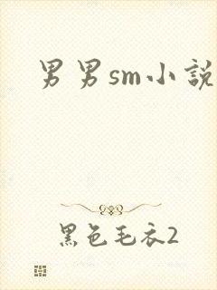男男sm小说