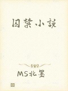 囚禁小说