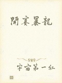 开赛暴龙
