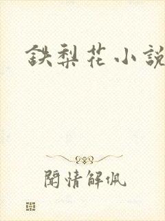 铁梨花小说