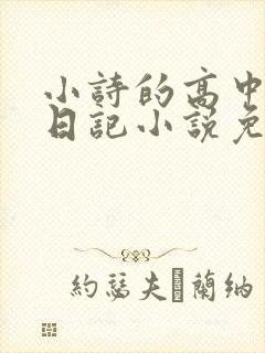 小诗的高中成长日记小说免费阅读