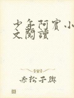 少年阿宾小说全文阅读