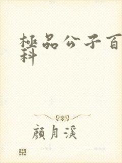 极品公子百度百科封面