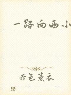一路向西小说