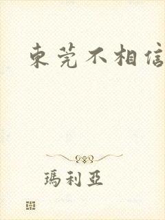 东莞不相信眼泪