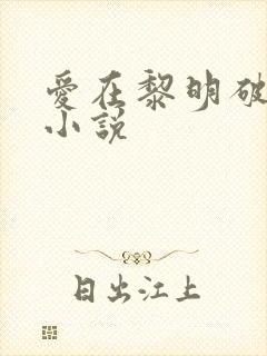 爱在黎明破晓前小说封面
