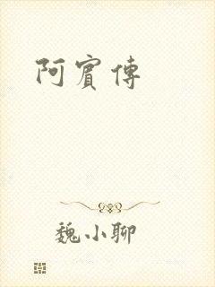 阿宾传