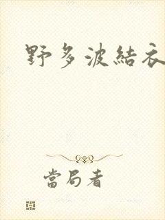野多波结衣