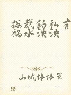 总裁的私有宝贝祸水泱泱