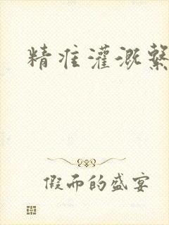 精准灌溉系统