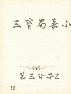 三宝局长小说封面