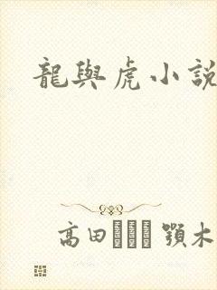 龙与虎小说