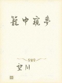 笼中窥梦封面
