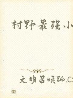 村野最强小农民