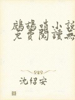 鹧鸪哨小说网站免费阅读无弹窗封面