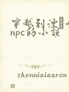 穿越到湮婸世界npc的小说