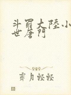 斗罗大陆小说绝世唐门