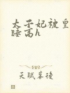 太子妃被皇上强睡高h封面