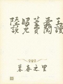 陆昭菱晋王的小说免费阅读