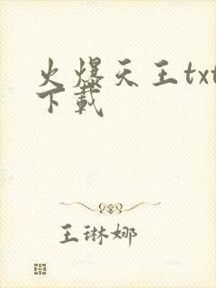 火爆天王txt下载封面