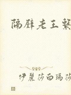 隔壁老王系统封面