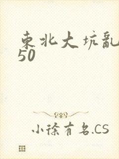 东北大坑乱1—50