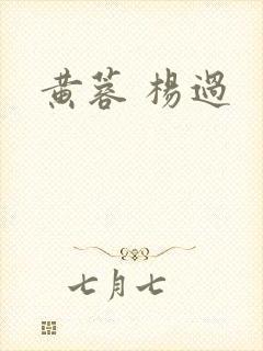 黄蓉 杨过
