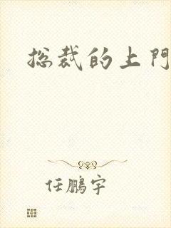 总裁的上门女婿