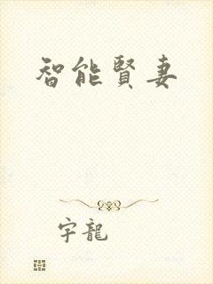 智能贤妻