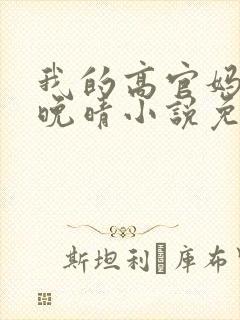 我的高官妈妈苏晚晴小说免费阅读